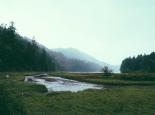 Prairie avec une rivière qui coule, photographiée dans le brouillard